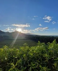 Quinta do Sossego-Giestas - Senhora dos Aflitos