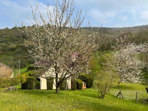 Maisons de vacances Maison chaleureuse dans un ecrin de verdure : photos des chambres