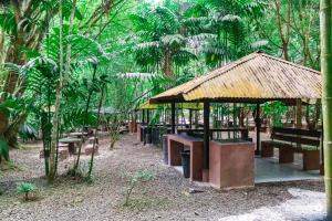 El Valle Mineral Springs