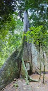 El Valle Mineral Springs