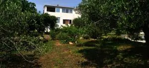 Apartment Prvic Sepurine II - 普尔维奇卢卡