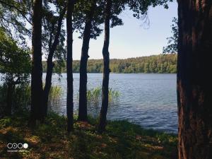 Sosnowy Raj - domki na Mazurach