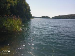 Sosnowy Raj - domki na Mazurach