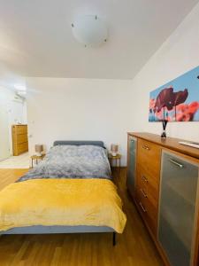 CENTRAL STUDIO CLOSE TO ANDRASSY AVENUE for 4 persons