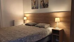 Apartament Korczaka 6 - 希雷姆