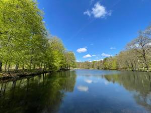 300m2 entire house with 3 bedrooms