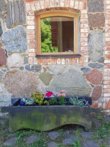 Brīvdienu māja Ievkalni