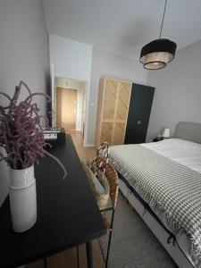 APARTAMENT OVOC GDYNIA NOWE KOLIBKI