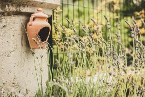 Doğanın Kalbindeki Eviniz-9 Kişi