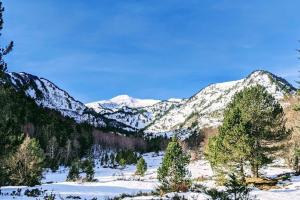 Chalets Grand gite au coeur des Pyrenees - Ariege Mijanes : photos des chambres