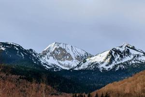 Chalets Grand gite au coeur des Pyrenees - Ariege Mijanes : photos des chambres