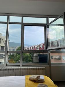 Kamche apartment