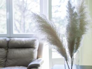 Apartamento Beira Rio Esteiro