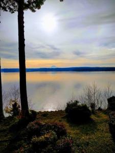 Judys Island Getaway179 - Ubytování bez kategorie ve městě Shelton
