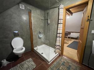 Cesky Krumlov centrum ap 6