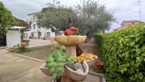 Apartments in Villa Isabel