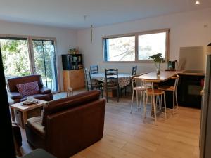 Appartements LES ANTHOCYANES : photos des chambres