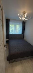 Trumpalaikė apartamentų nuoma centre (Vytauto g.)