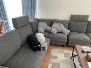 The Ritz Okinawa Kise 2-Free parking for 2, 3LDK, 2 bathrooms