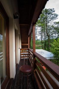 Apartment with Balcony room in Pensiunea Vandor