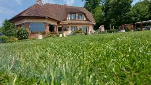 l'écureuil roux - Yvetot