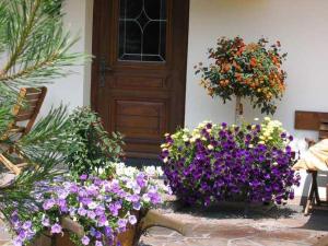 das Luggi Appartements