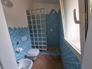 Aldo Countryside img28