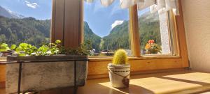 Ferienwohnungen Stabentheiner