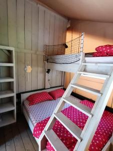 Tente RENARD 5 PERSONNES CAMPING LOU CANTOU CEVENOL