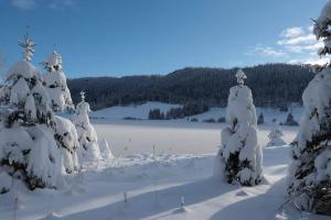 Chalets Les Logettes de Caroline : photos des chambres