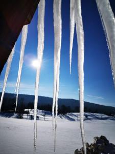 Chalets Ecolodge, bain nordique, petit dejeuner : photos des chambres