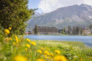 Aves Arosa - Lodget, Arosa