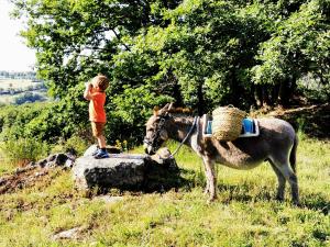 Maisons de vacances Yourte Immersion Nature : photos des chambres