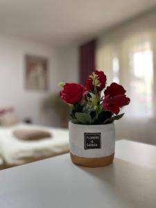 Apartmani Stanković Sokobanja