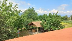 Veli Guest House • საოჯახო სასტუმრო ველი