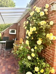 Naturparadies in Aurich - Ihlowerfehn