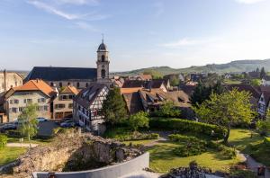 Hotels Hotel Val-Vignes Colmar Haut-Koenigsbourg, The Originals Relais : photos des chambres