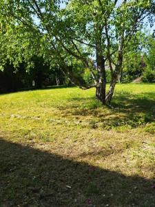 Maisons de vacances Maison avec jardin Auxerre : photos des chambres