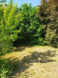 Maisons de vacances Maison avec jardin Auxerre : photos des chambres