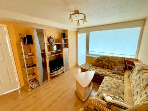 Vanagupes Apartament Linas