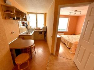 Vanagupes Apartament Linas