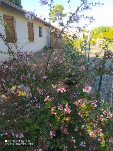 Maisons de vacances Villa Nancea Bassin Arcachon Gujan Mestras : photos des chambres