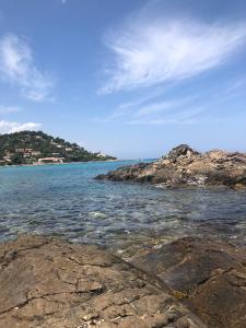 Appartements Jolie T2 bord de mer corse du sud : photos des chambres