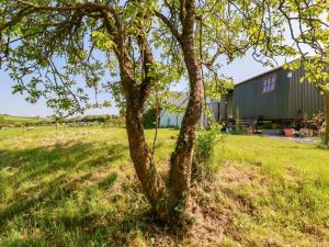 Puddle Duck Shepherds Hut