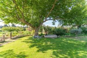 Appartements Studio a la campagne : photos des chambres