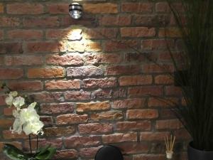 Y Bwythyn - Lovely cottage in village of Spittal