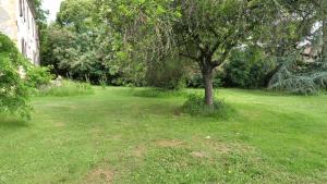 Maisons de vacances Au chemin de Mazous : photos des chambres