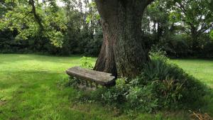 Maisons de vacances Au chemin de Mazous : photos des chambres