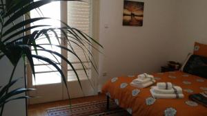 Rooms in Central Athens