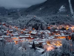 Appartements les gites axeens (l'Ours) : photos des chambres